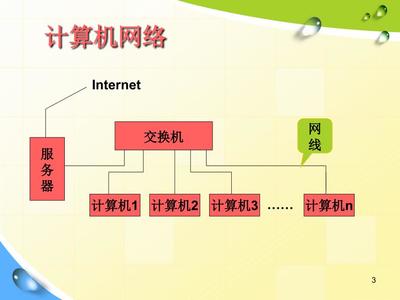 计算机网络知识 信息技术新时代版七年级上册学习指导